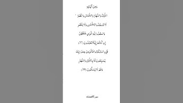ومن آياته الليل والنهار والشمس والقمر #انا_مؤمن