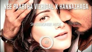 Nee Paartha Vizhigal X Kannazhaga | Remix | Shadow Spade Music