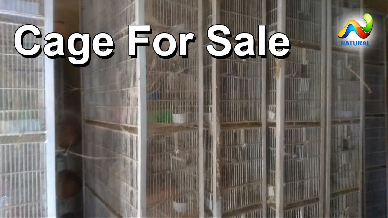 Cage For Sale in Karachi YouTube