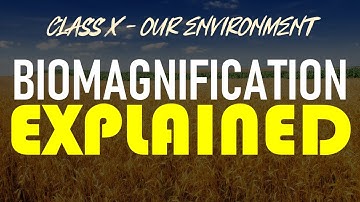 CBSE Class X Biology Ch.15 Our Environment - BIOMAGNIFICATION Explained! | Term 2 Board Exam