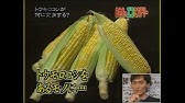 まさかのミステリー 秋田県金浦町 甲子園編 Youtube まさかのミステリー 秋田県金浦町 甲子園編 Youtube