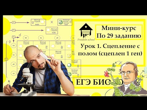 Мини-курс по задачам по генетике (29 задание) - УРОК 1 |ЕГЭ БИОЛОГИЯ|Freedom|