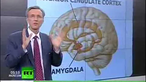 Conservative vs Liberal Brains - Science is showing the difference