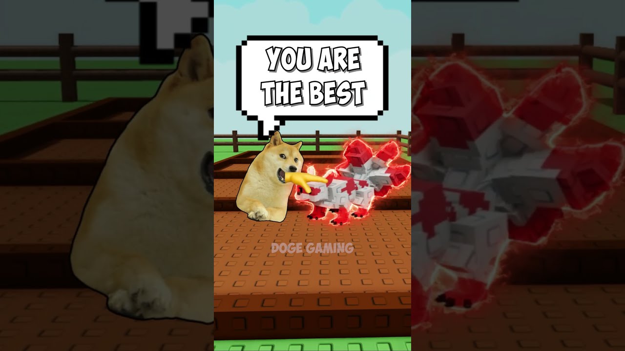 New Pet Doge Gaming