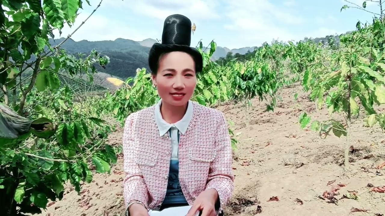 Hát thái hát theo yêu cầu chú phanh phương Điện Biên Bản ten núa xã núa ngám vợ bỏ đi theo trai 