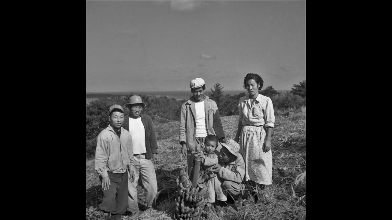 徳之島あの頃の風景　デジタルリマスター
