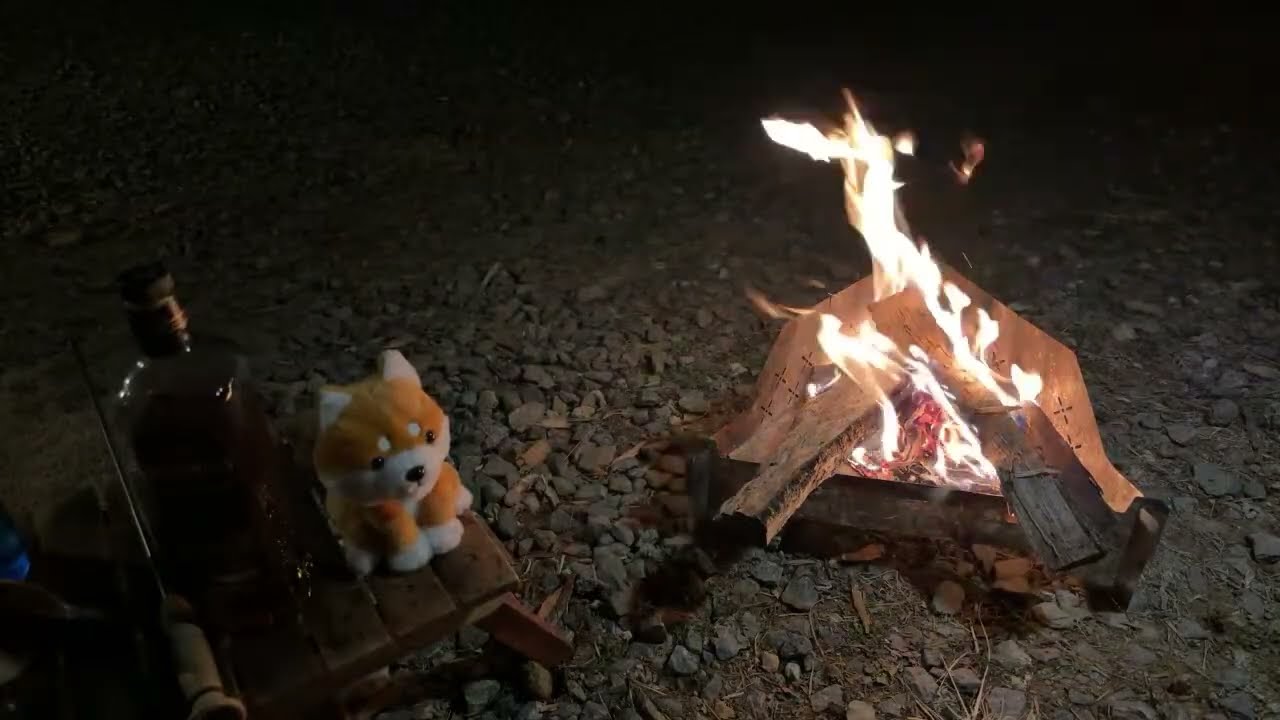 キャンプ男 がライブ配信中！