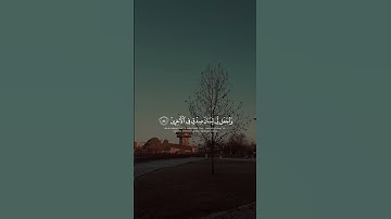 قران كريم ماتيسر من"سورة الشعراء"الايه(٨٣-٨٥)القارئ محمد هاشم❤️