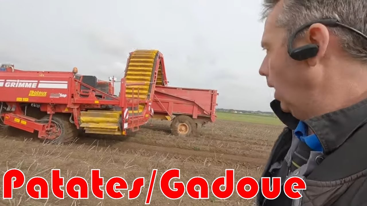 Arrachage des Patates🍟 dans la gadoue ... 1/3