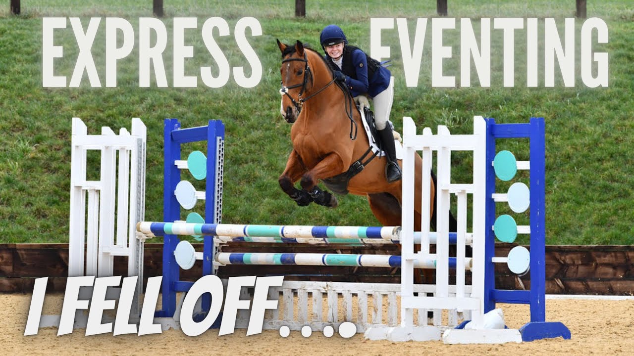 WE WENT EVENTING KIND OF?! Pickering Grange tarabrowneventing