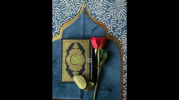 وَأَنْ أَتْلُوَ الْقُرْآنَ ۖ فَمَنِ اهْتَدَىٰ فَإِنَّمَا يَهْتَدِي لِنَفْسِهِ ...(92) سورة النمل