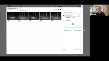 Reviewing species ID