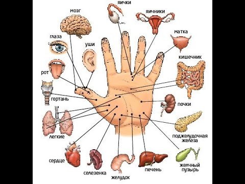 Су-Джок терапия (системы соответствия). - YouTube