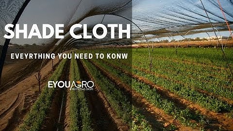 Shade Cloth  Everything You Need to Know