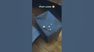 loona robot is a little bugger #loona #loonarobot #loonapetbot #airobot #petbot #petrobot