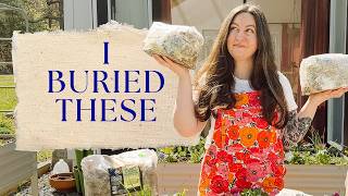 I Planted Mushroom Sawdust Blocks in My Garden and This is What Happened