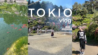 CAMINANDO SOBRE CENIZAS EN JAPÓN | CUMPLEAÑOS 22 | vlog