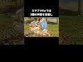 ピットの切り札の違い【スマブラX】【スマブラfor】【スマブラSP】