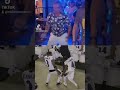 OBJ and Flowers dancing in cursive (via @limaeuber/TikTok)