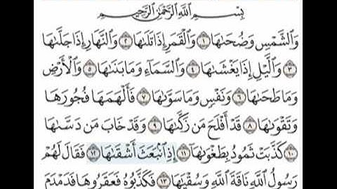سورة الشمس للشيخ هاني الرفاعي