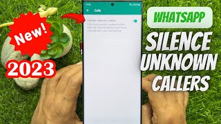 How to Silence WhatsApp Calls from Unknown Numbers screenshot 4