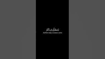 سورة العنكبوت #القرآن_الكريم #quran #فارس_عباد #القرآن_الكريم #سورة #ايات #قرآن #اسلام_صبحي #الدعاء