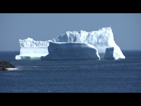 Iceberg just off Tapper's Cove in Torbay, NL