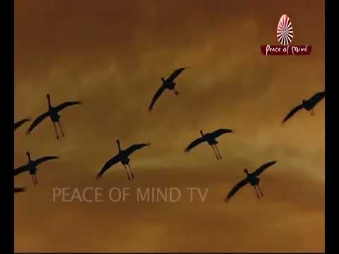 Chalo Karain Hum Sair Ruhani  Song  Brahma Kumaris  Peace of Mind TV
