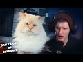 A CROSS EYED CAT | Reacting to Daily Dose of Internet