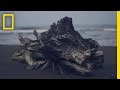 Experience Costa Rica’s “Pura Vida” in Under 3 Minutes | Short Film Showcase