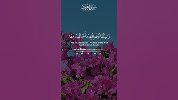 🌟 تلاوة تلامس الروح وتغمر القلب – عبدالباسط عبدالصمد #المصحف #اكسبلور