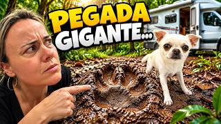 DE MOTORHOME COM NOSSOS 6 CACHORROS | Ep. 2