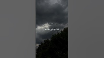 سورة الفرقان|24-29|القارئ:#ياسر_الدوسري#قران#quran #راحة_نفسية#قران_كريم#آية #تلاوة_خاشعة