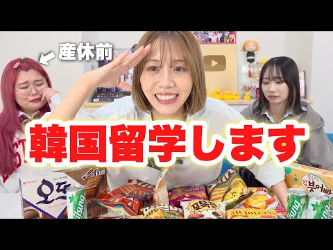 友達の産休中に韓国で修行してきます