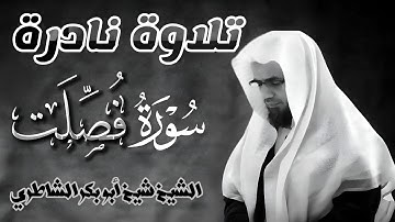تلاوة مليئة بالخشوع في صلاة التراويح | للشيخ شيخ أبو بكر الشاطري | سورة فصلت كاملة Shaykh al Shateri