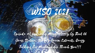 WISO 2021 #2