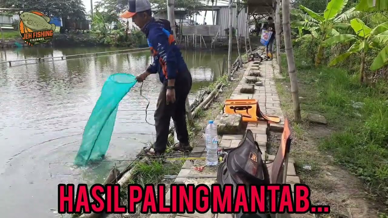 Mancing harian gacor jeh!!! KP.TIRTA LESTARI CERME #mancingharian #mancingmaniasurabaya #16