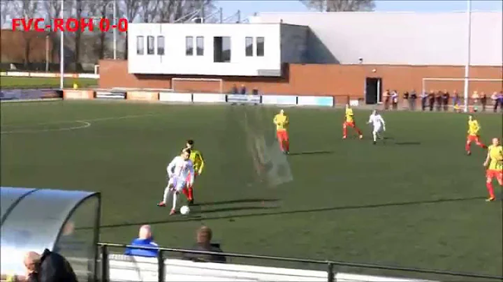 Samenvatting FVC - Rohda Raalte