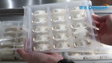 Dumpling With Tray Pillow Packing Machine,Automatic Frozen Food Horizontal Packing Machine