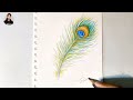 How to draw feather drawing  mor pankh drawing  easy simple feather drawing tutorial