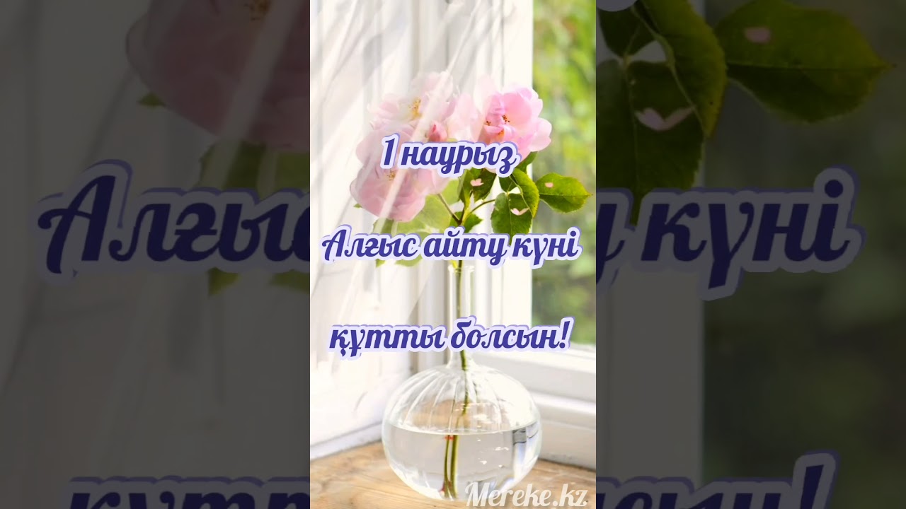 preview_player