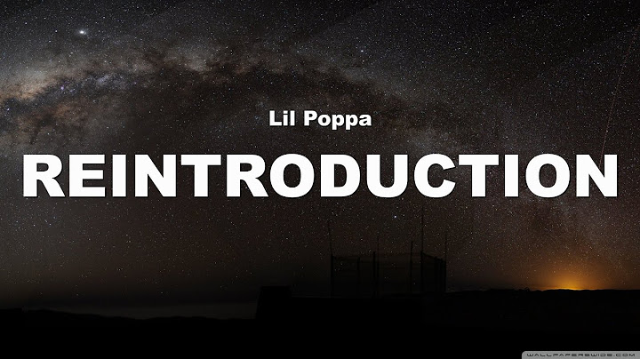 Lil Poppa-Reintroduction (Lyrics)