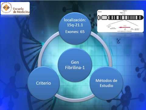 Vídeo: Expandiendo El Espectro Clínico Y Genético Del Síndrome De Heimler