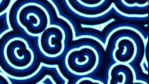 FitzHugh Nagumo Model Simulation Spiral Waves