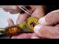 Lamprey Dissection - River Monsters
