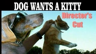 DOG WANTS A KITTY DIRECTORS CUT {NEW HD}