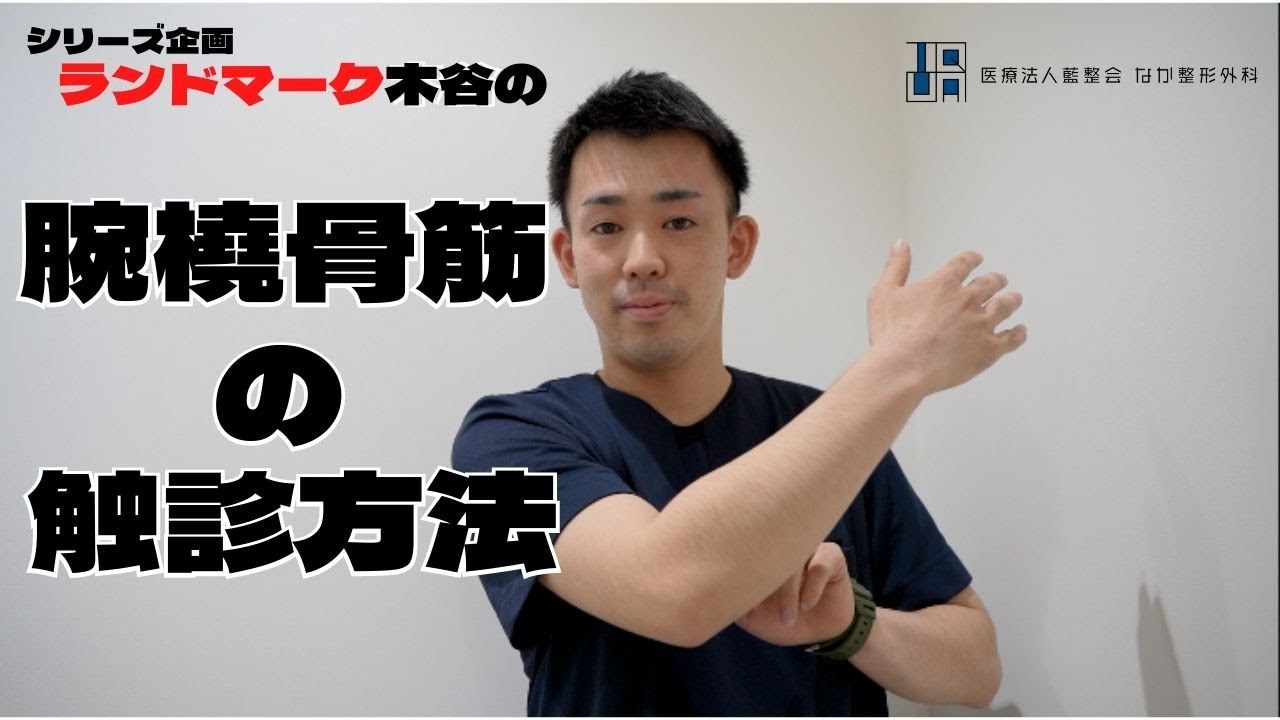 理学療法士による腕橈骨筋の触診法