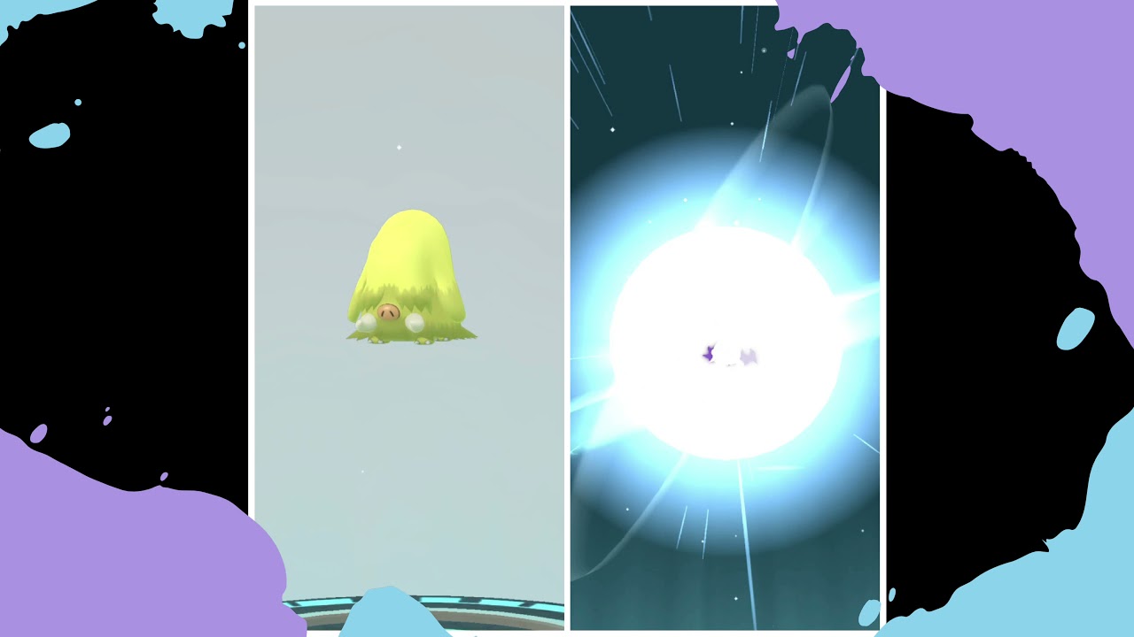 ✨Swinub Incense Day✨💫 Evolution Shiny & Shadow Swinub in Pokemon Go ✨💫Mamoswine✨💥 Legacy move ✨✨