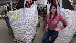 Old storage potato bins are almost empty, Filling bulk potato bags