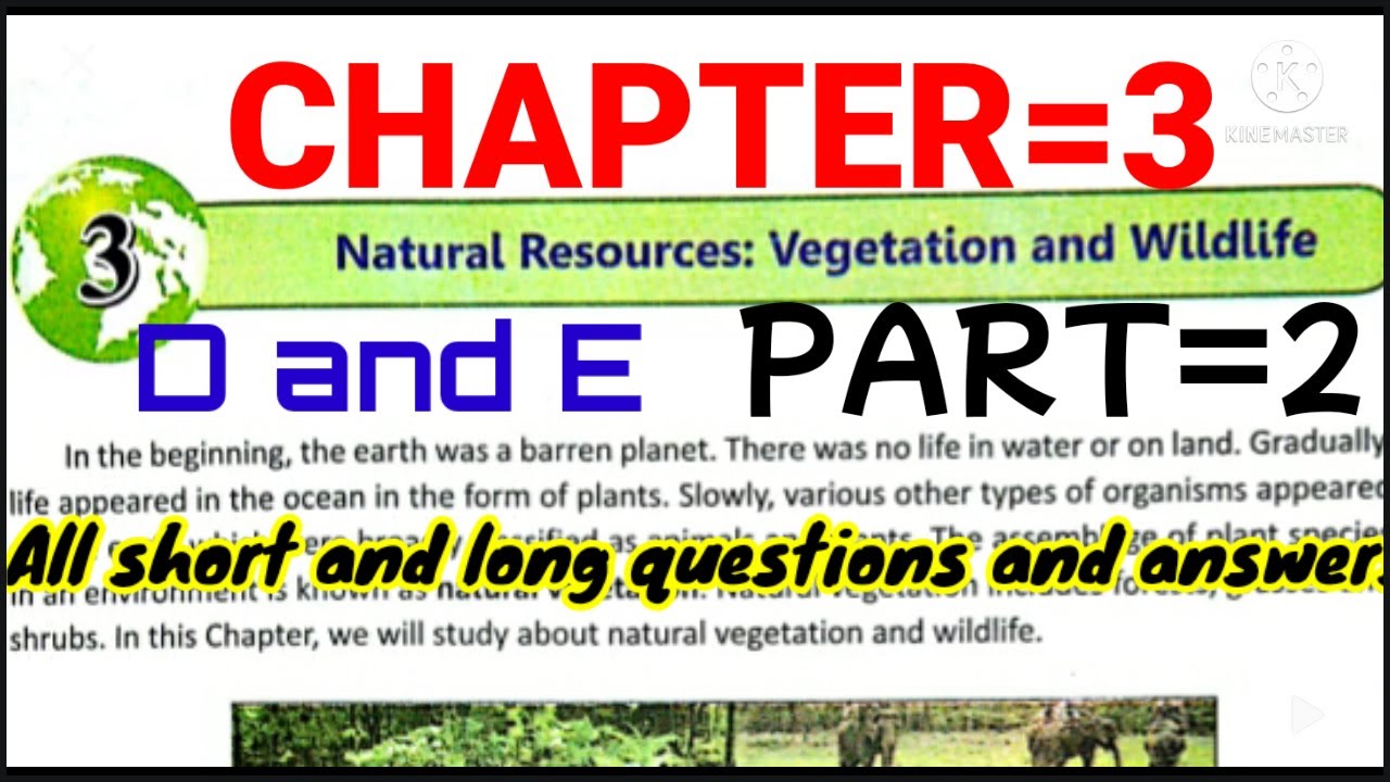Part 2 Class 8 DAV All Question And Answer Of Chapter 3 Resources part-2-class-8-dav-all-question-and-answer-of-chapter-3-resources